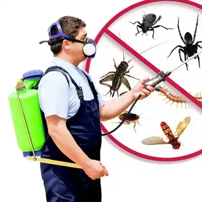 pest control Blue Hill